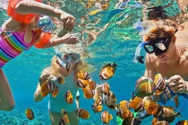 Water Sport - Snorkeling